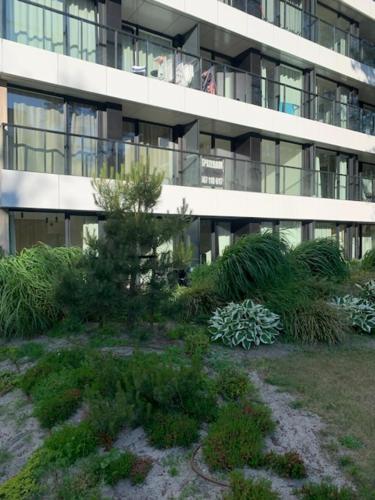 SHELLTER Apartament Blue Dune-Rogowo