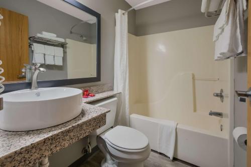 Econo Lodge Sevierville / Pigeon Forge - image 5
