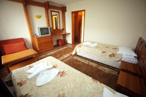 Family Hotel Bansko Sofia - main image