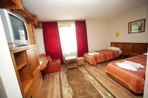 Family Hotel Bansko Sofia - image 4
