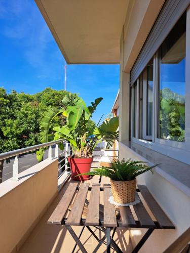 สวน, Villa Prana Guesthouse, Yoga & Ayurveda in ปอร์ติเมา ทาวน์ เซ็นเตอร์