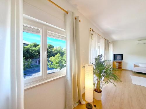 ทัศนียภาพ, Villa Prana Guesthouse, Yoga & Ayurveda in ปอร์ติเมา ทาวน์ เซ็นเตอร์