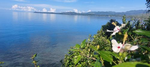 Bohol Lahoy Dive Resort in Guindulman