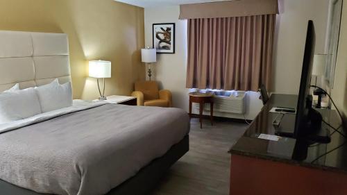 Quality Inn & Suites Alamosa