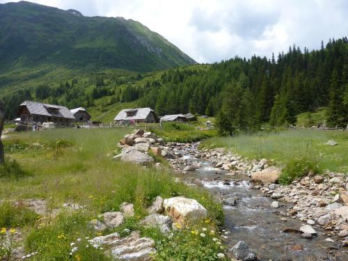 Urlaub am Bauernhof Gänser