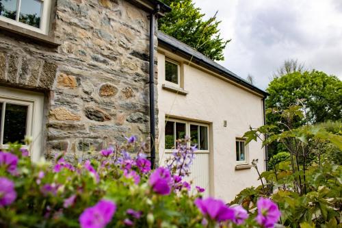 Minafon, Newport (foto 2)