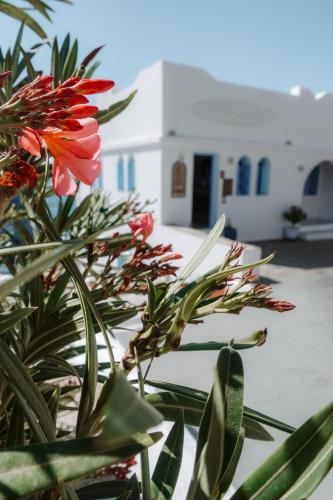 Hotel Petradi - image 11