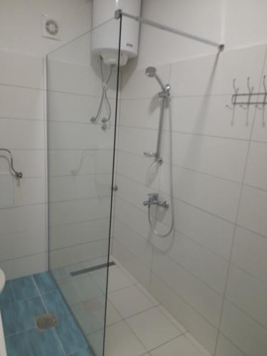 Guest House Bajceta - image 10