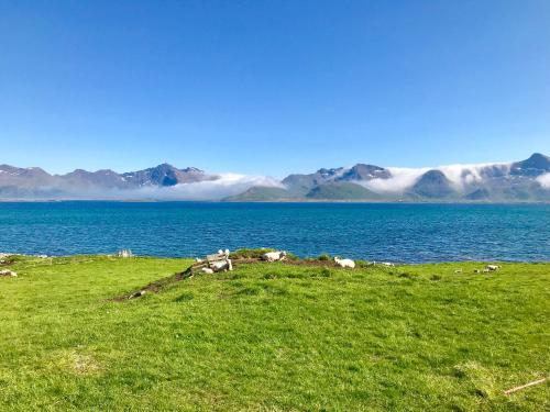 Cozy apartment Leknes Lofoten