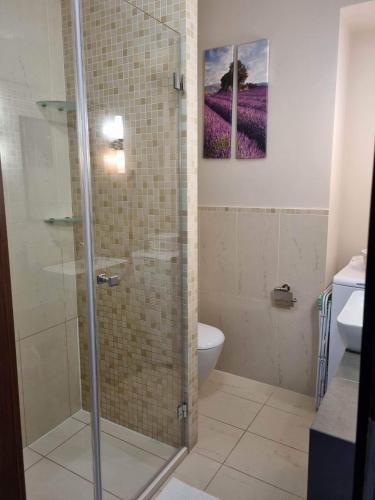 One-Bedroom Apartment image 4