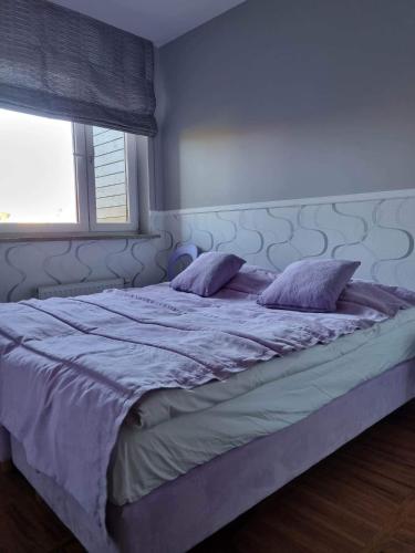 One-Bedroom Apartment image 1