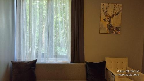 VESTA RESORT BUTİK HOTEL – Istanbul, FL