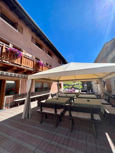 Hotel Adele - image 12