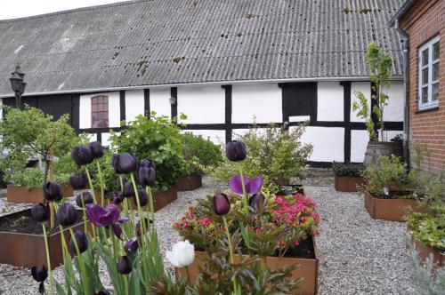 Aed, Lundsgaard Bed & Breakfast in Faaborg