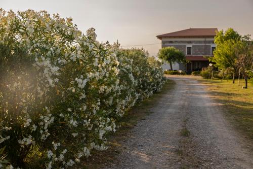 Agri Charme Tenuta Picilli - Hotel - Albanella