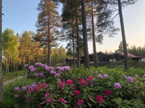 Timber cottages with jacuzzi and sauna near lake Vänern