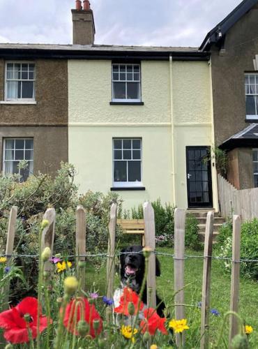 Cliff-top Coastguard's Cottage, an Off-Grid Escape