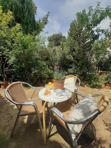 Kert, Maresme´s corner in Sant Andreu de Llavaneres