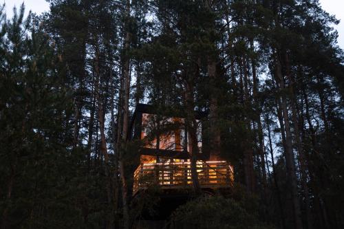 Treehouse Virš Bedugnės