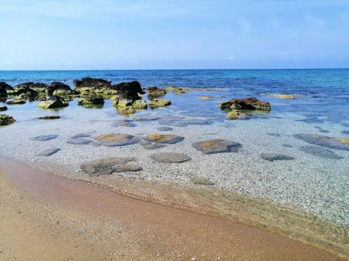 Oasi Sul Mare - Bungalow a 120m dalla spiaggia