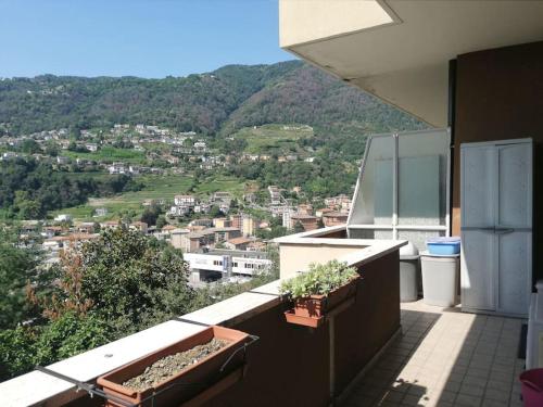 I due archi - Apartment - Como