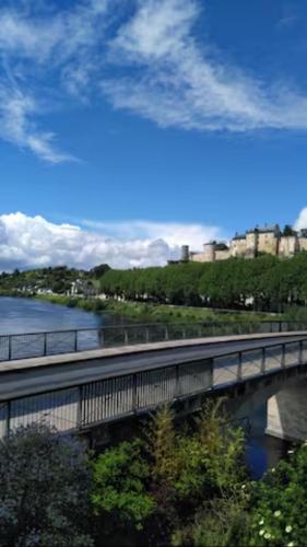 Le Nid de L’Île - Location saisonnière - Chinon