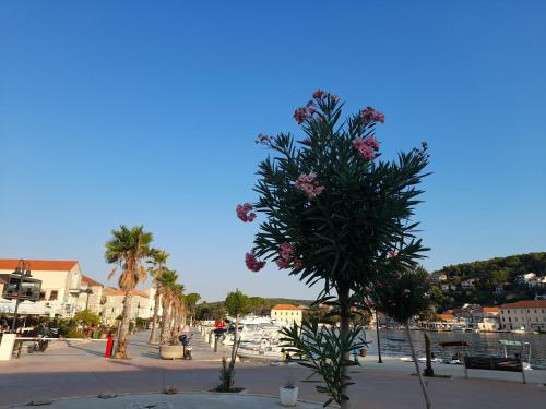 Hvar Architect's House