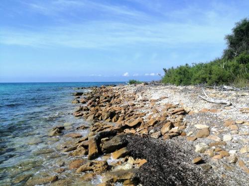 Oasi Sul Mare - Bungalow a 120m dalla spiaggia