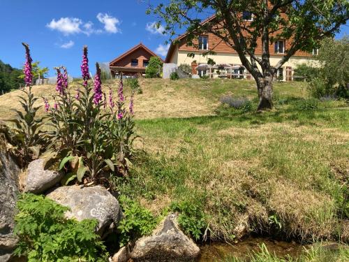 Chez Jeanmyvonne - image 13