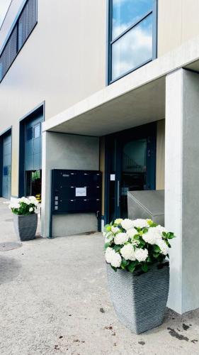 Laurin‘s in Nendeln