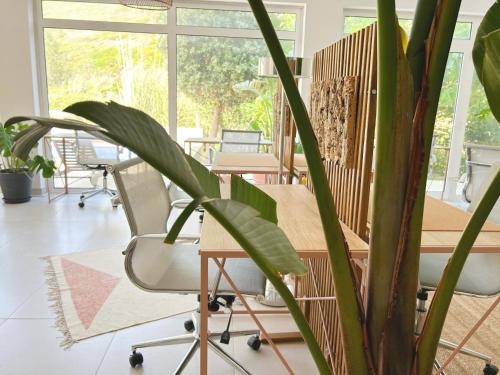บริการและสิ่งอำนวยความสะดวก, Sãone Guesthouse - Coworking & Retreat Location (Saone Guesthouse - Coworking & Retreat Location) in บาเลยา