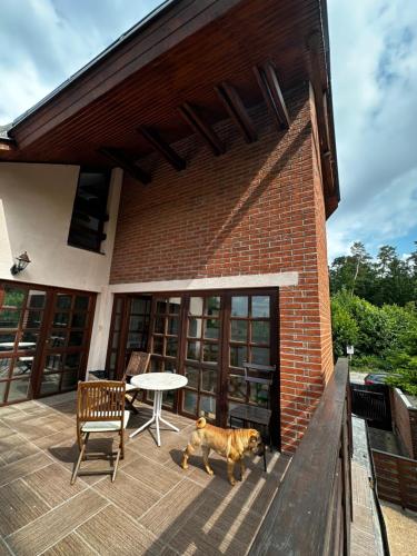 Penzion U Nouzu in Svitavy