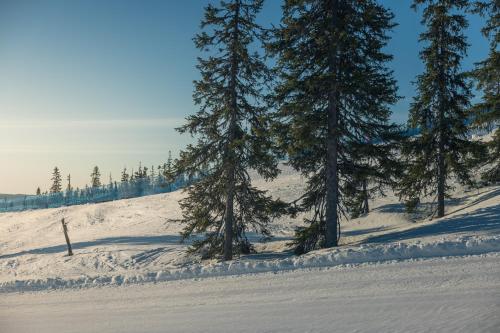 Fjällparadiset Lindvallen