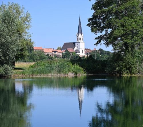 Nearby attraction, Ferienwohnung Camino in Jockgrim