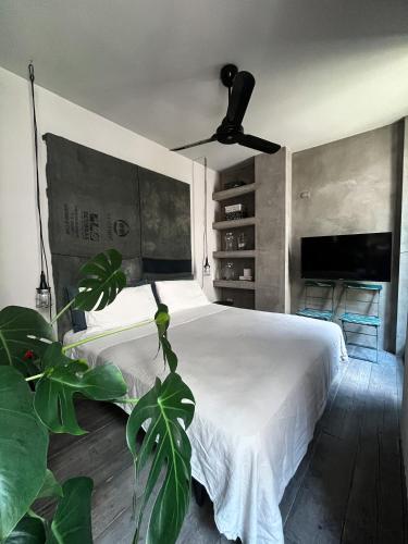  Mini Loft Super Cool in Brescia