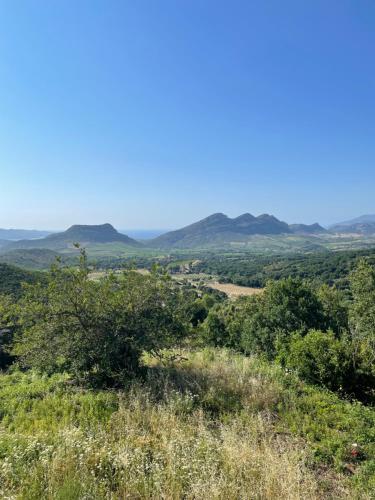 Casa Di Cajucan - Chambre d'hôtes - Poggio-d'Oletta