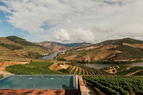 Ventozelo Hotel & Quinta - image 11