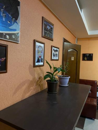 zonă comună salon/TV, Mang’o Hostel in Aktau