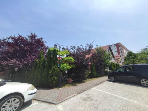 Pansion Kamin - image 6