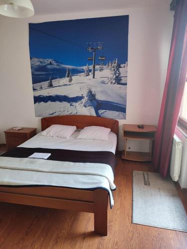Pansion Kamin - image 5