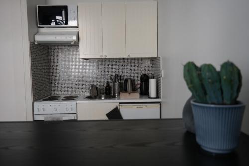 Cozy Kallio Studio, Eat, Explore, Commute Easy, Helsinki (photo 10)