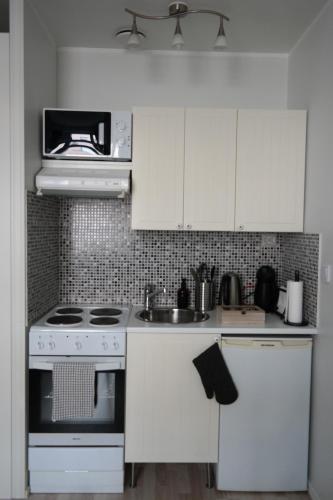 Cozy Kallio Studio, Eat, Explore, Commute Easy, Helsinki (photo 9)