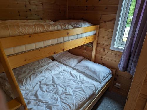 5 bunk beds