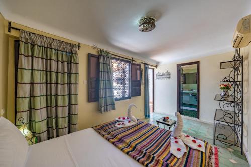 Riad Todra - main image