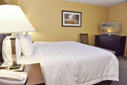 Hampton Inn By Hilton & Suites Alexandria