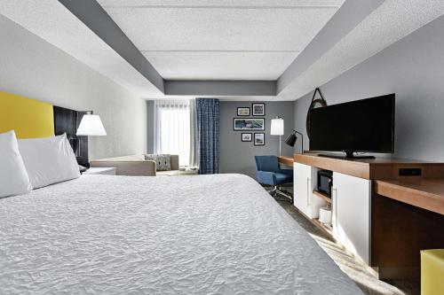1 king bed, 1 sofa bed