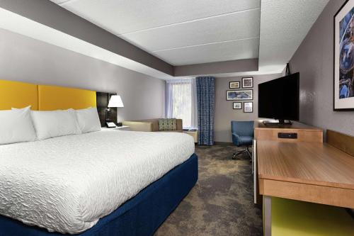 Hampton Inn Amelia Island - image 7