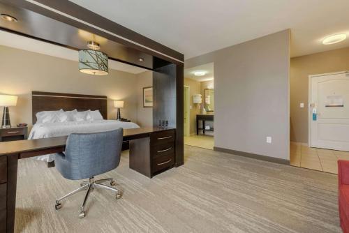 Hampton Inn Alamosa - image 12