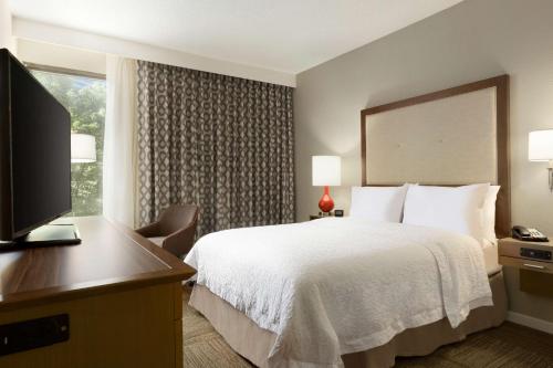 Hampton Inn Atlanta-Buckhead - image 2