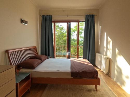 Luxury Green Villa, Budapest (photo 6)